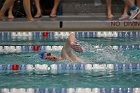 Swim vs Bentley  Wheaton College Swimming & Diving vs Bentley University. - Photo by Keith Nordstrom : Wheaton, Swimming & Diving